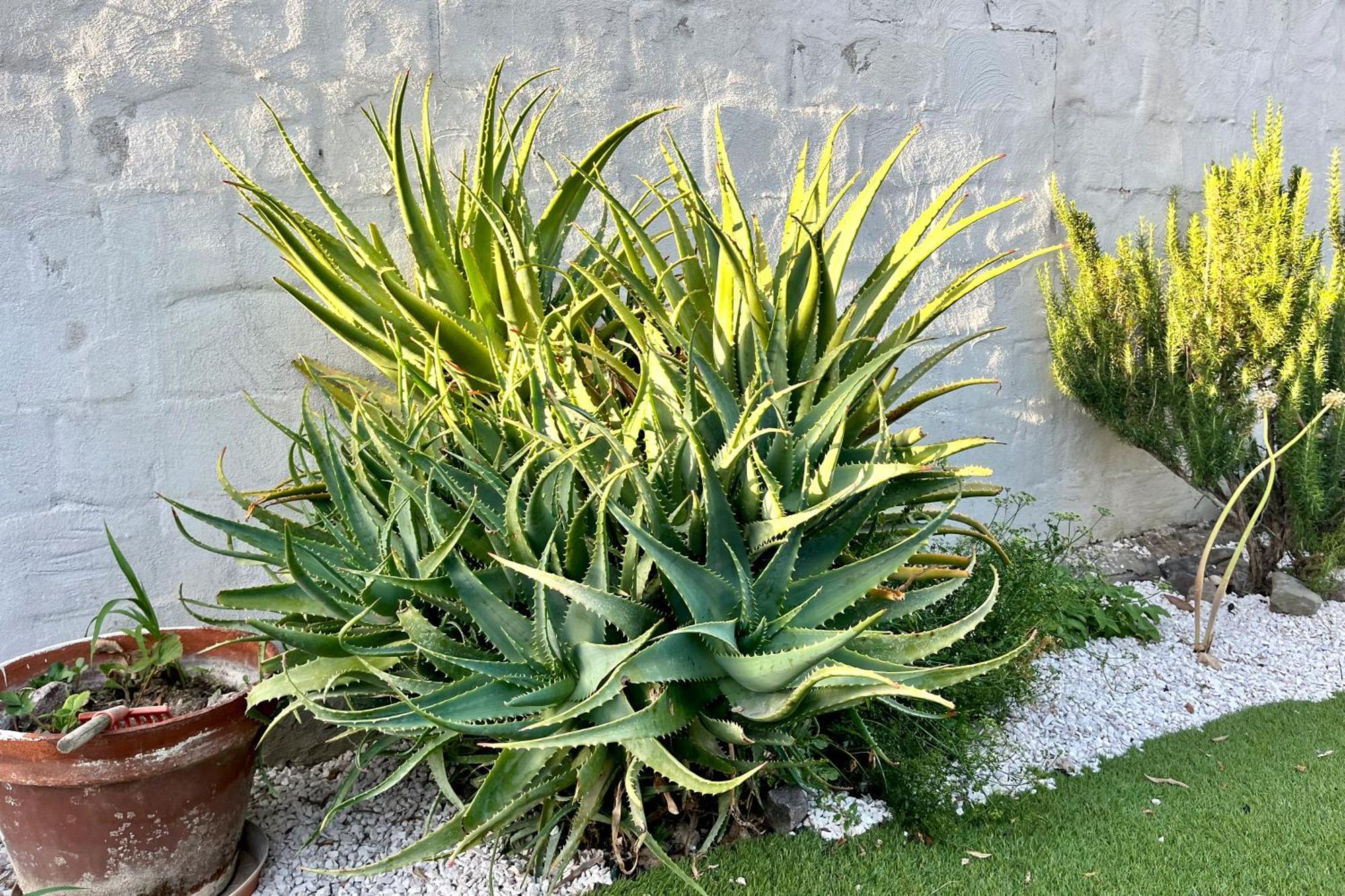 B&B Dimora Orru Càbras 外观 照片